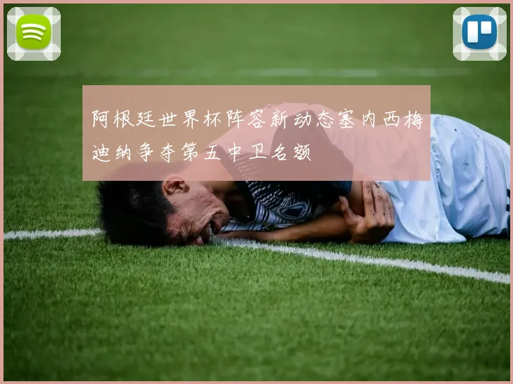 阿根廷世界杯阵容新动态塞内西梅迪纳争夺第五中卫名额